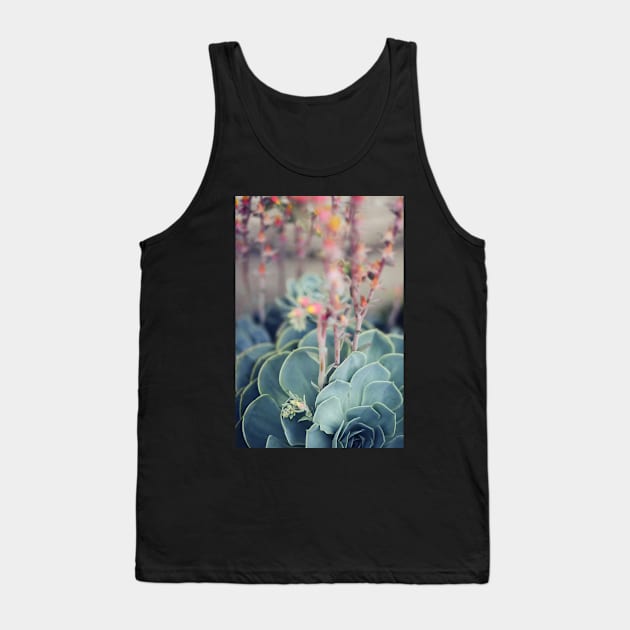 Echeveria #4 Tank Top by ALICIABOCK